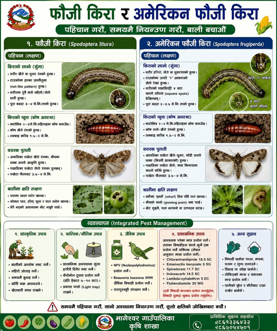 अजयमेरु फाैजी केरा